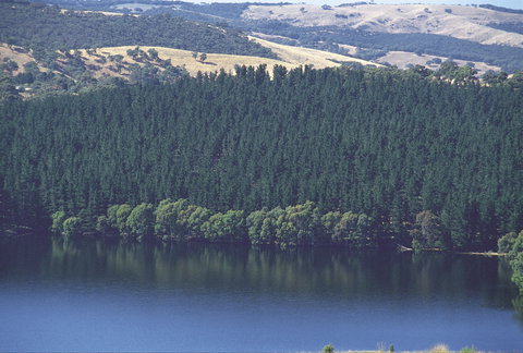 Myponga Reservoir Lookout - Redcliffe Tourism 0