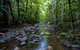 Nambucca Valley - thumb 0