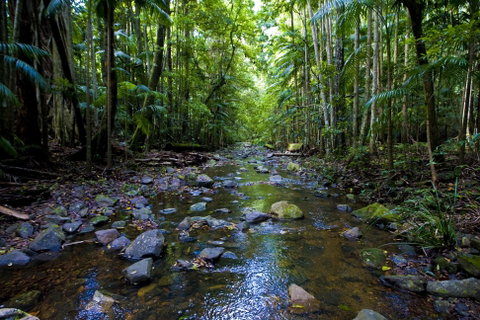 Nambucca Valley - Redcliffe Tourism 0