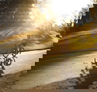 Parramatta River Cycleway - Redcliffe Tourism