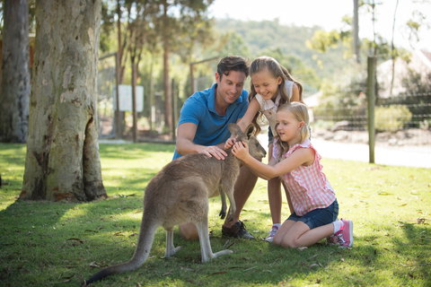 Paradise Country - Redcliffe Tourism 2