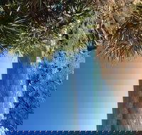 Richmond Valley Cultural Heritage Self Drive Tour - Redcliffe Tourism