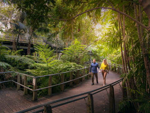 Roma Street Parkland - Redcliffe Tourism 2