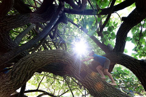 Scarborough Beach Park - Redcliffe Tourism 0