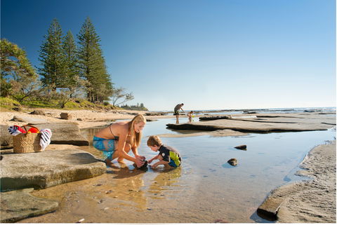 Shelly Beach - Redcliffe Tourism 0