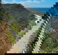 The Coast Walking Track - Redcliffe Tourism
