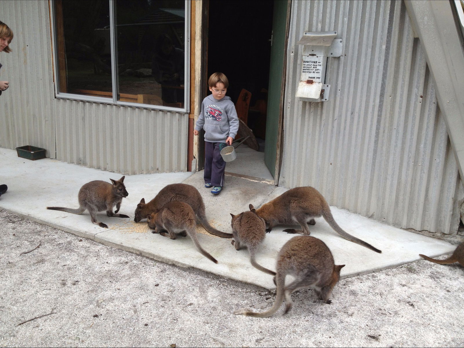 Memana TAS Redcliffe Tourism