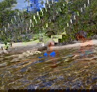 Tjaynera Falls Sandy Creek - Redcliffe Tourism
