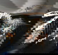 UNE Natural History Museum - Redcliffe Tourism