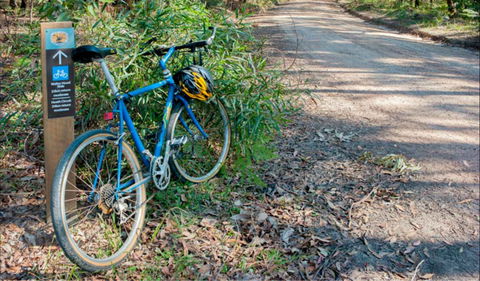 Walter Hood Ride From Cudmirrah - Redcliffe Tourism 0
