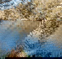 Wandandian Creek picnic area - Redcliffe Tourism