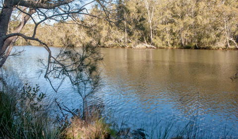 Wandandian Creek Picnic Area - Redcliffe Tourism 0