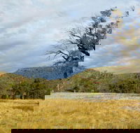 Weddin Mountains National Park - Redcliffe Tourism