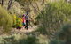 Australian Arid Lands Botanic Garden - thumb 0