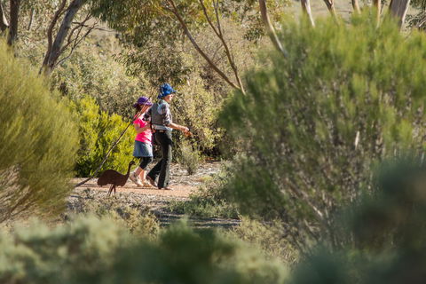 Australian Arid Lands Botanic Garden - Redcliffe Tourism 0