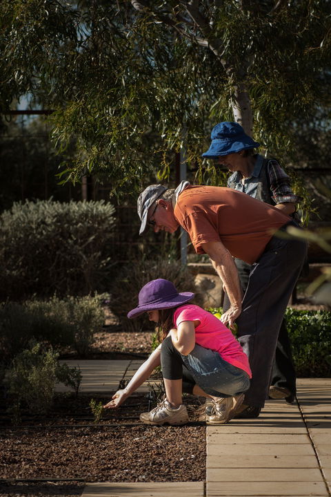 Australian Arid Lands Botanic Garden - Redcliffe Tourism 1