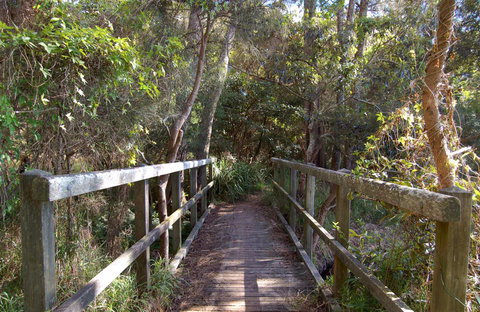 Awaba Bay Foreshore Walk - Redcliffe Tourism 0