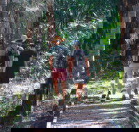 Banksia Track Burrum Coast National Park - Redcliffe Tourism