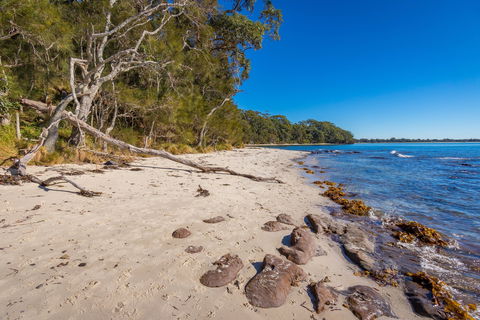 Barfleur Beach - Redcliffe Tourism 0