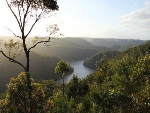 Berowra Valley National Park - Redcliffe Tourism 0