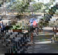 Bidgee Riverside Trail  - Hay Nature Walk - Redcliffe Tourism