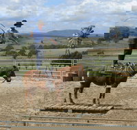 Boggy Creek Show - Redcliffe Tourism