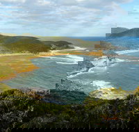 Bullimah Spur Track - Redcliffe Tourism