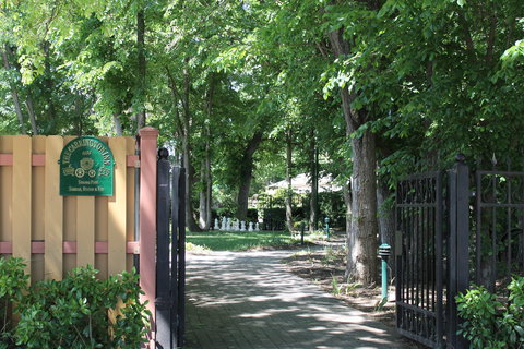 Bungendore Heritage Walk - Redcliffe Tourism 0