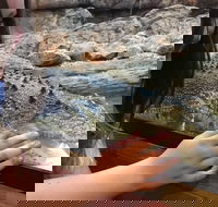 Canberra Reptile Zoo - Redcliffe Tourism