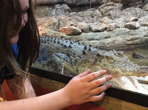 Canberra Reptile Zoo - Redcliffe Tourism 0