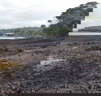Churchill Island Marine National Park - Redcliffe Tourism