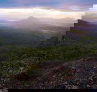 Cunninghams Gap and Spicers Gap Main Range National Park - Redcliffe Tourism