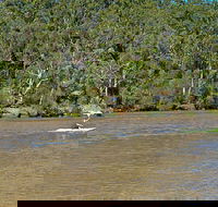 Fitzpatrick Park - Redcliffe Tourism