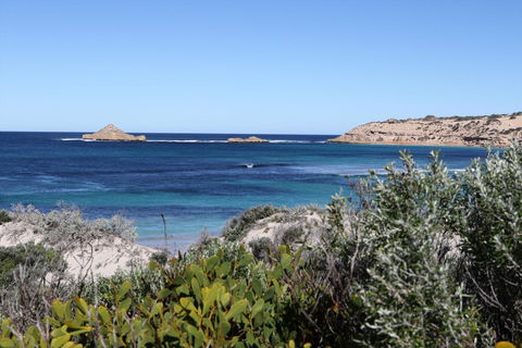 Fowlers Bay Conservation Park - Redcliffe Tourism 0