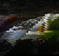 Gondwana Rainforests of Australia World Heritage Area - Redcliffe Tourism