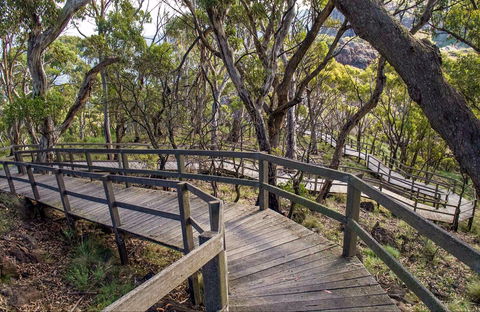 Governor Summit (Corrunbral Borawah) Walking Track - Redcliffe Tourism 0