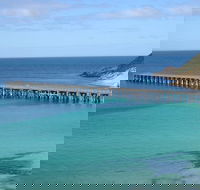 Innes National Park - Stenhouse Bay Lookout Guided Walk - Redcliffe Tourism