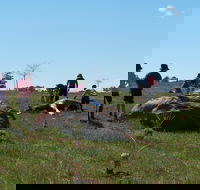 Jim Salmon  Wetland Education Site - Redcliffe Tourism