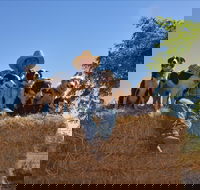 Katherine Outback Experience - Redcliffe Tourism