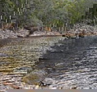 Lake Rowallan - Redcliffe Tourism