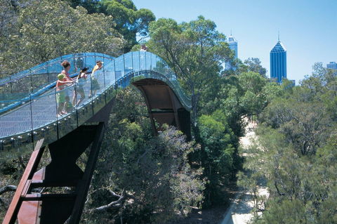 Law Walk - Kings Park - Redcliffe Tourism 0