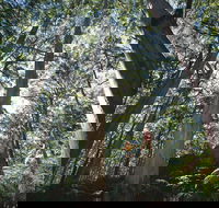 Leeuwin-Naturaliste National Park - Leeuwin - Redcliffe Tourism