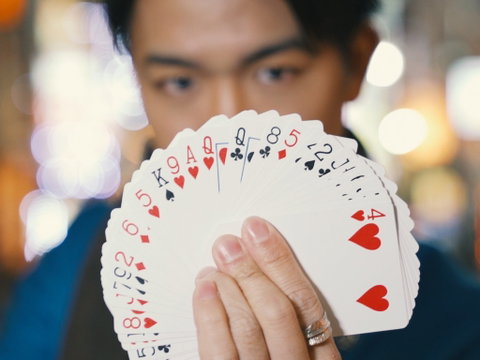 Maho Magic Bar - Redcliffe Tourism 2