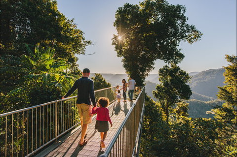 Mamu Tropical Skywalk - Redcliffe Tourism 0