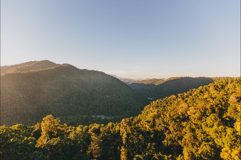 Mamu Tropical Skywalk - Redcliffe Tourism 1