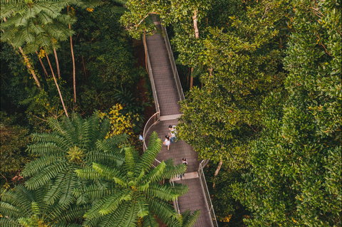 Mamu Tropical Skywalk - Redcliffe Tourism 2