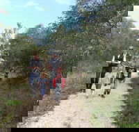 Meningie Lions Walking Trail - Redcliffe Tourism