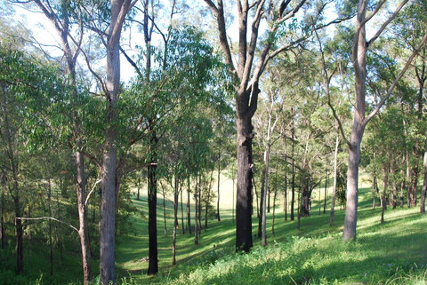 Mount Schoenstatt Spirituality Centre - Redcliffe Tourism 1