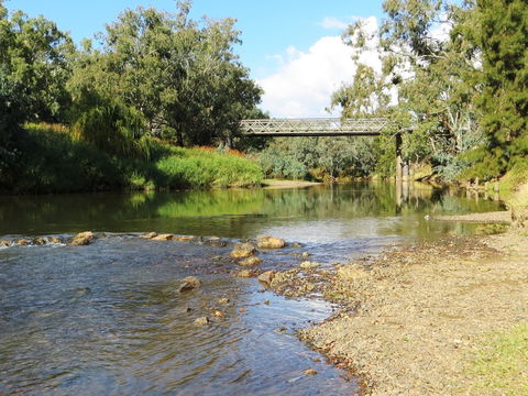 Namoi River And Woolshed Reserve - Redcliffe Tourism 0