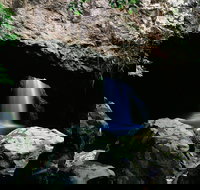 Natural Bridge Circuit Springbrook National Park - Redcliffe Tourism